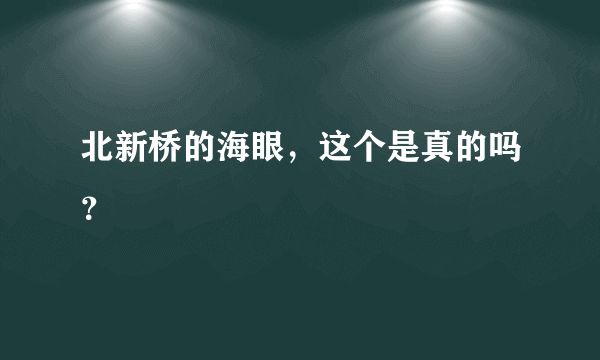 北新桥的海眼，这个是真的吗？