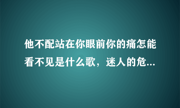 他不配站在你眼前你的痛怎能看不见是什么歌，迷人的危险歌曲介绍