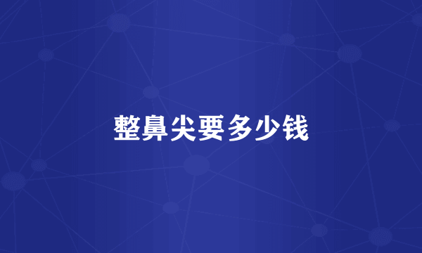 整鼻尖要多少钱