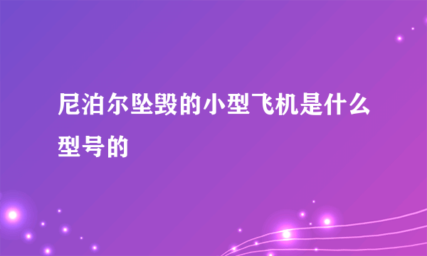 尼泊尔坠毁的小型飞机是什么型号的