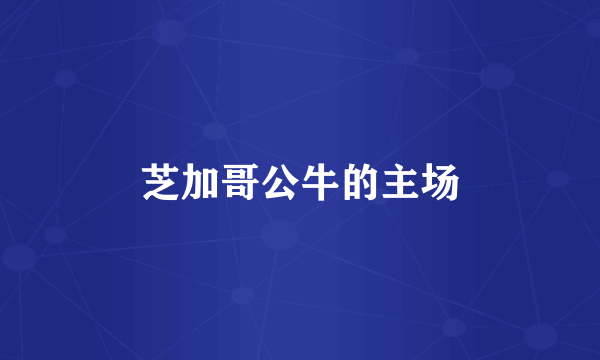 芝加哥公牛的主场