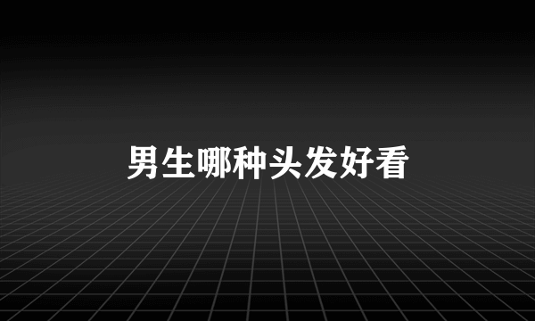 男生哪种头发好看