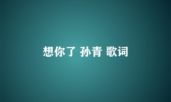 想你了 孙青 歌词