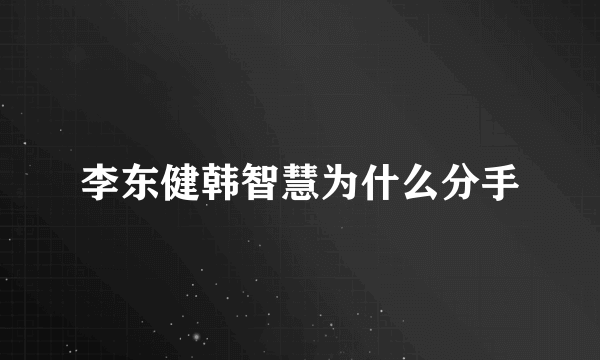 李东健韩智慧为什么分手