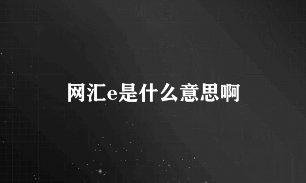 网汇e是什么意思啊