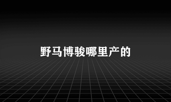野马博骏哪里产的