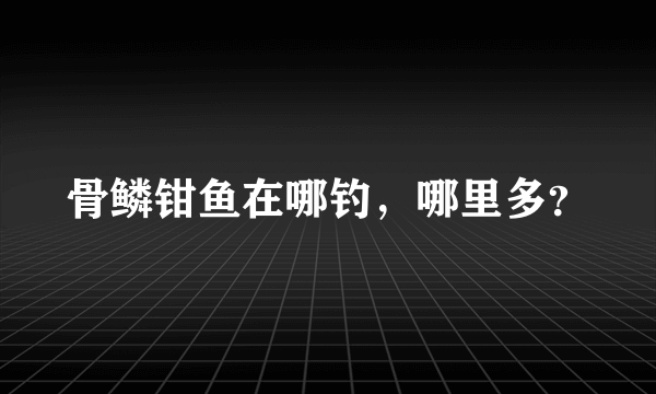 骨鳞钳鱼在哪钓，哪里多？