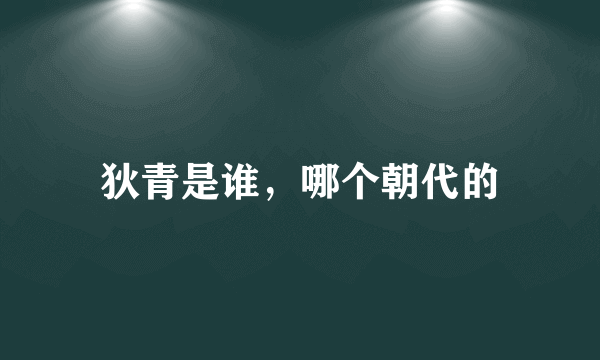 狄青是谁，哪个朝代的