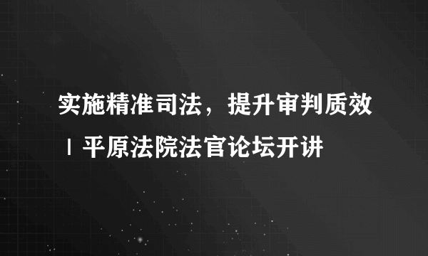 实施精准司法，提升审判质效｜平原法院法官论坛开讲