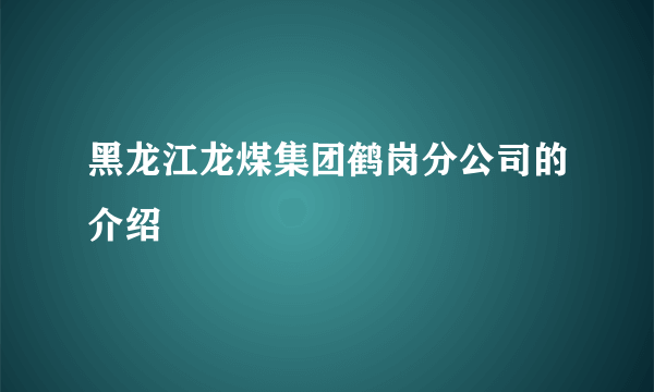 黑龙江龙煤集团鹤岗分公司的介绍