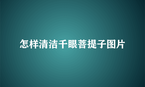 怎样清洁千眼菩提子图片