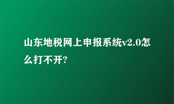 山东地税网上申报系统v2.0怎么打不开?