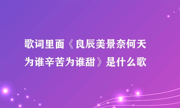歌词里面《良辰美景奈何天 为谁辛苦为谁甜》是什么歌