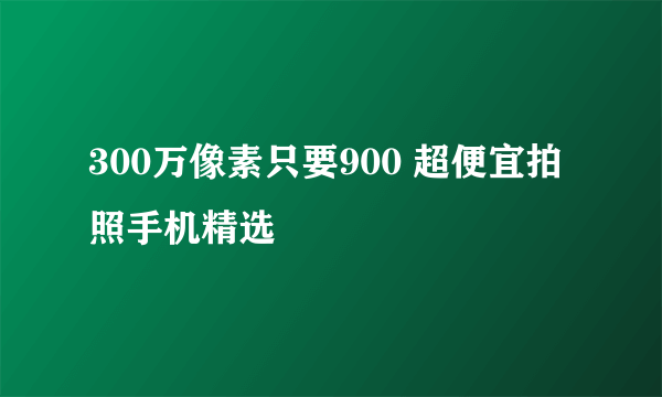300万像素只要900 超便宜拍照手机精选