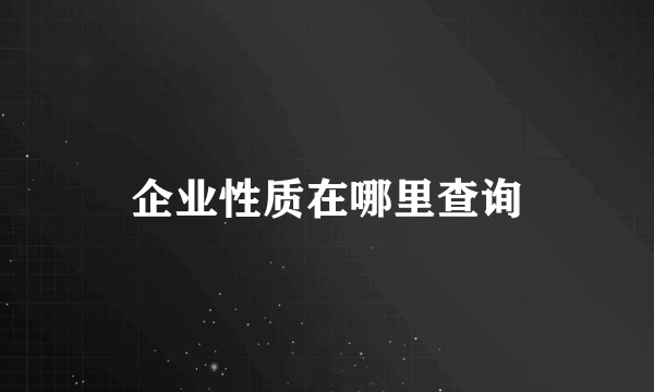 企业性质在哪里查询