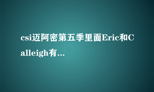 csi迈阿密第五季里面Eric和Calleigh有发生什么事情么？