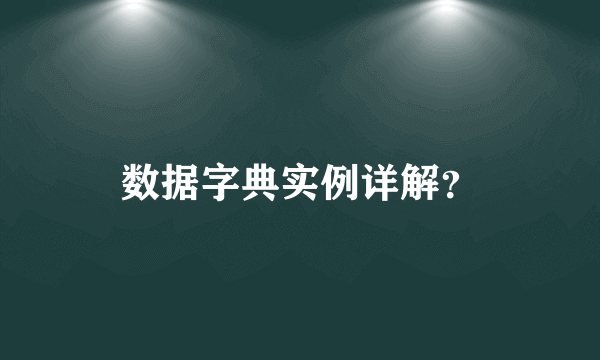 数据字典实例详解？