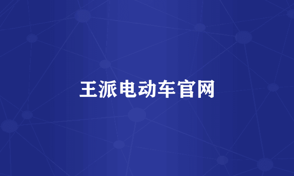 王派电动车官网