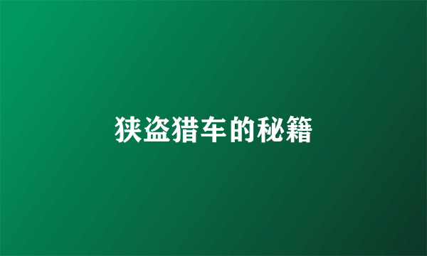 狭盗猎车的秘籍