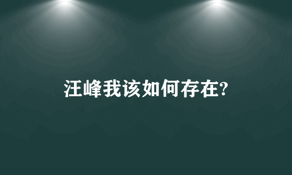 汪峰我该如何存在?