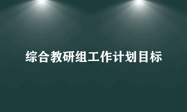 综合教研组工作计划目标
