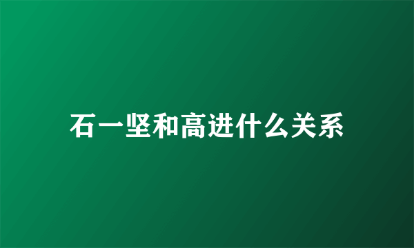 石一坚和高进什么关系