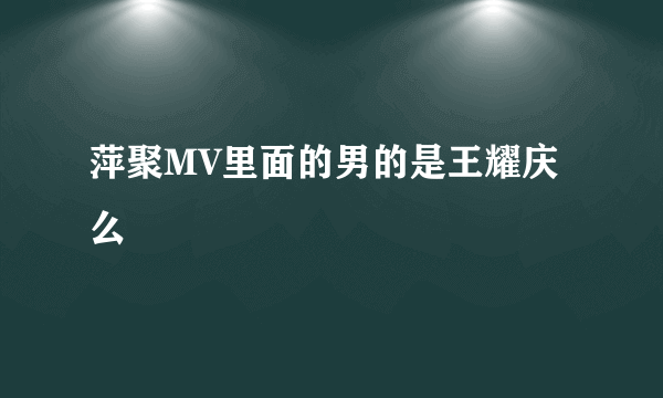 萍聚MV里面的男的是王耀庆么