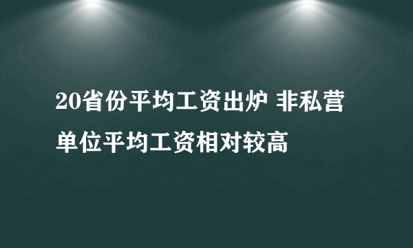 20省份平均工资出炉 非私营单位平均工资相对较高
