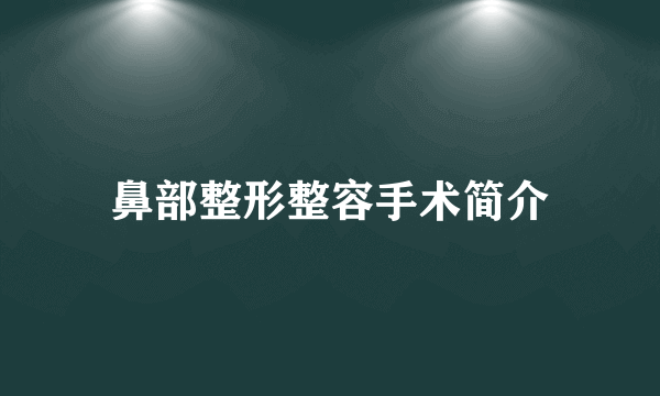 鼻部整形整容手术简介