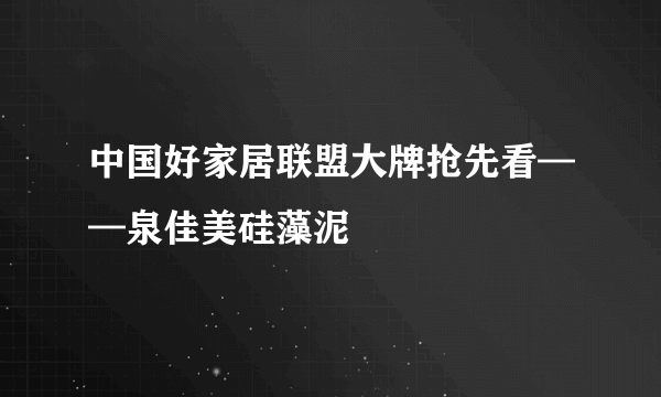中国好家居联盟大牌抢先看——泉佳美硅藻泥