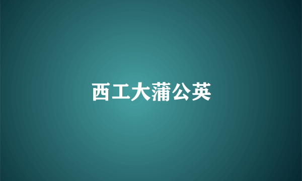 西工大蒲公英