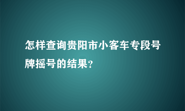 怎样查询贵阳市小客车专段号牌摇号的结果？