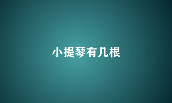 小提琴有几根