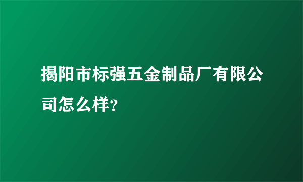 揭阳市标强五金制品厂有限公司怎么样？