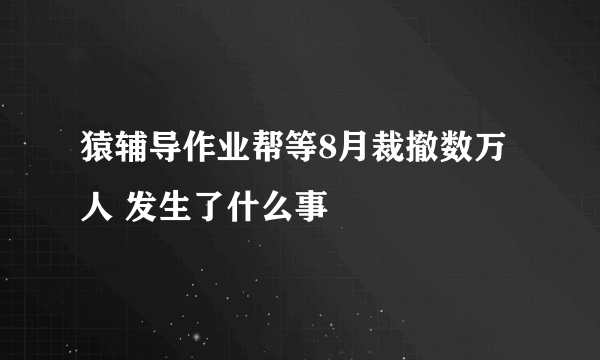 猿辅导作业帮等8月裁撤数万人 发生了什么事