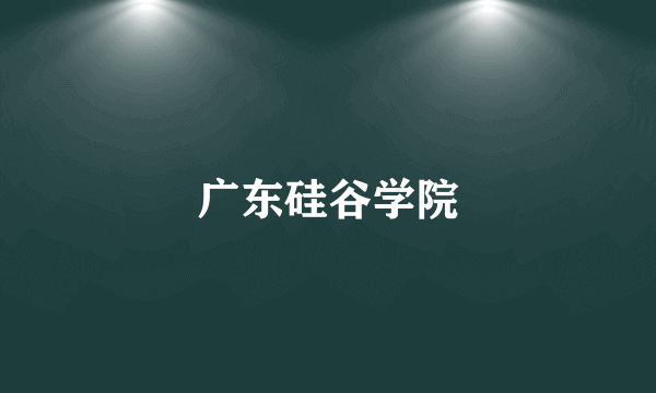 广东硅谷学院