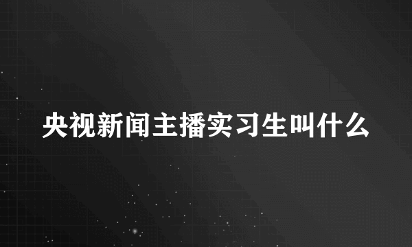 央视新闻主播实习生叫什么