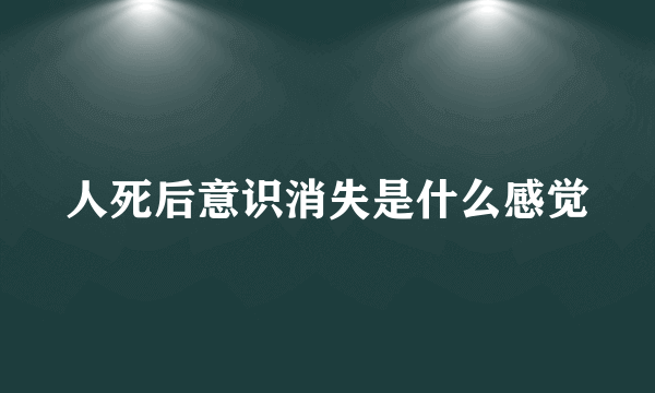 人死后意识消失是什么感觉