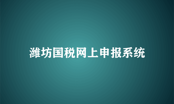 潍坊国税网上申报系统