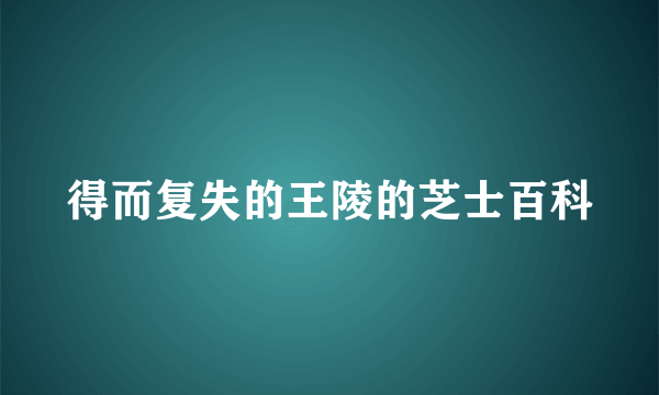 得而复失的王陵的芝士百科