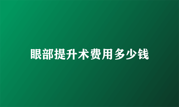 眼部提升术费用多少钱