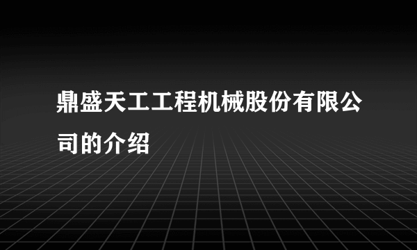 鼎盛天工工程机械股份有限公司的介绍