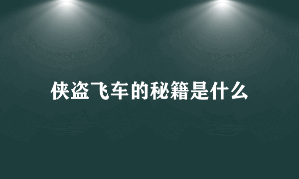 侠盗飞车的秘籍是什么