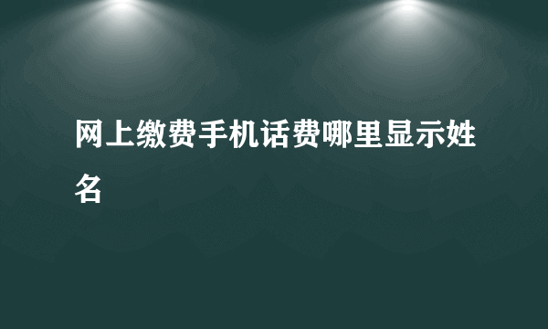网上缴费手机话费哪里显示姓名
