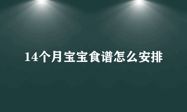 14个月宝宝食谱怎么安排