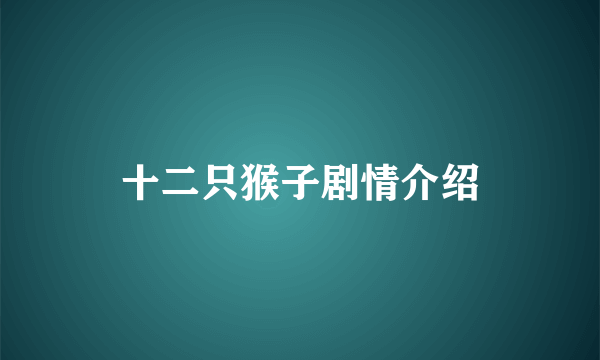 十二只猴子剧情介绍