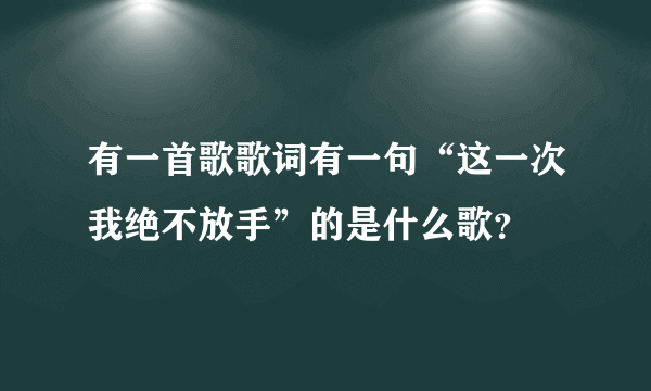 有一首歌歌词有一句“这一次我绝不放手”的是什么歌？