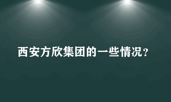 西安方欣集团的一些情况？