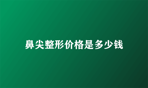 鼻尖整形价格是多少钱
