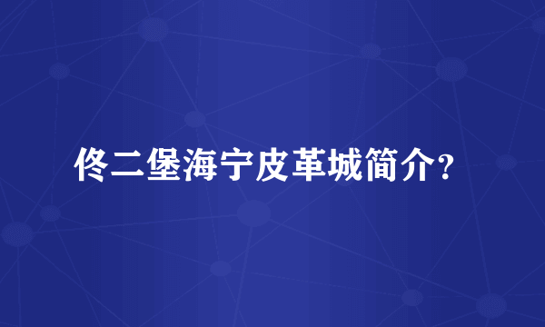 佟二堡海宁皮革城简介？